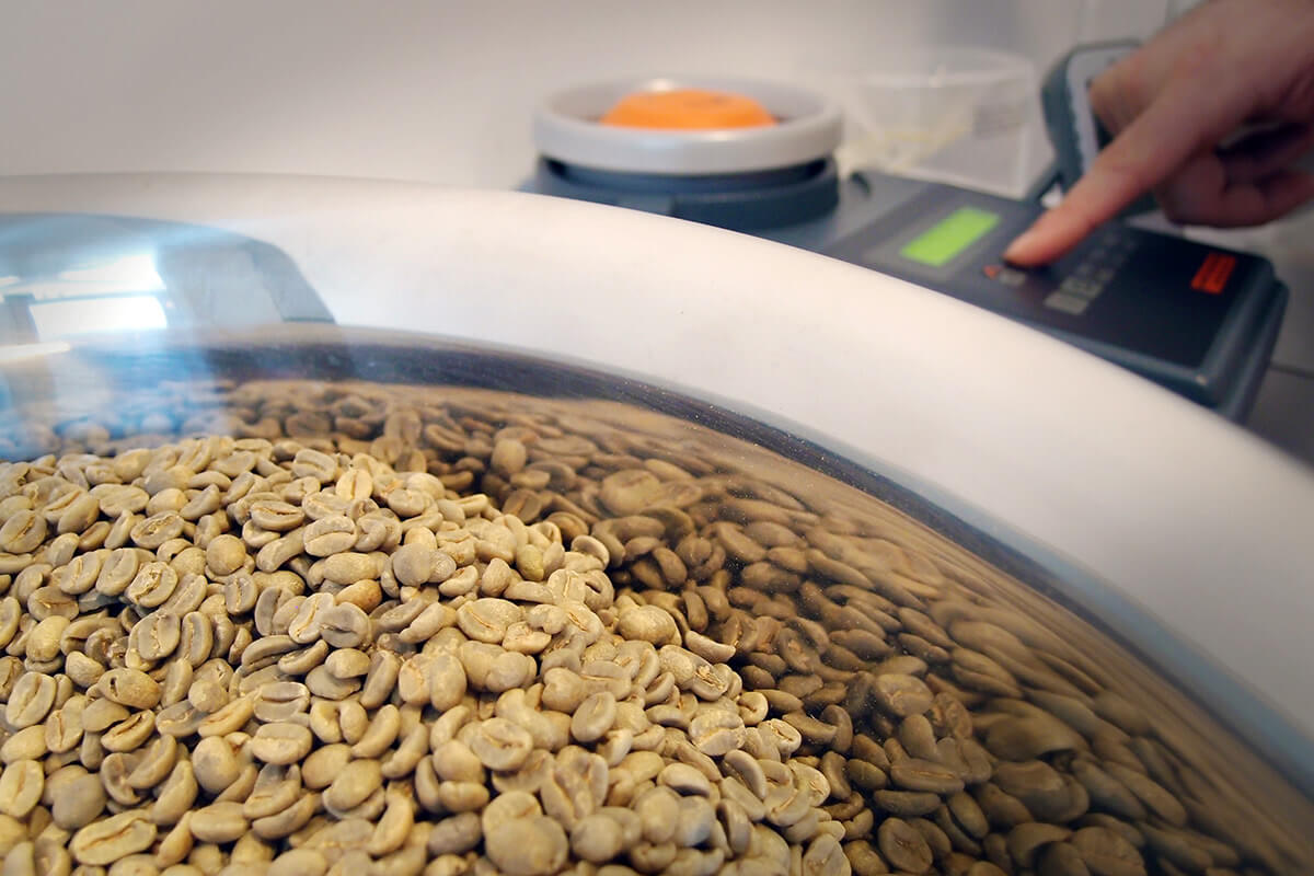Careful analysis of green coffee beans
